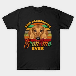 Best Dachshunds Grandma Ever T-Shirt